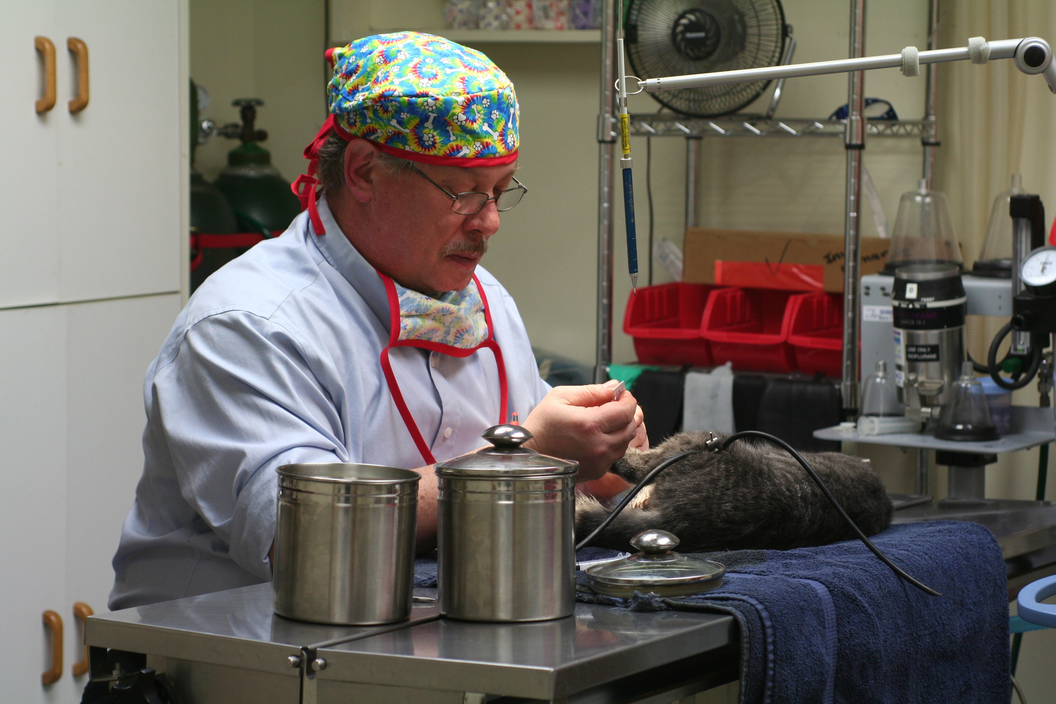 Dr. Bill Howard performing surgery at Akron Vet Clinic