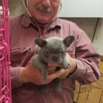 Dr. Bill Howard holding a French Bulldog puppy