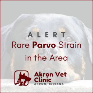 Akron Veterinary Clinic – Veterinary Services in Akron, Indiana